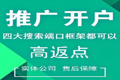 百度竞价代理的投放技巧与效果评估案例